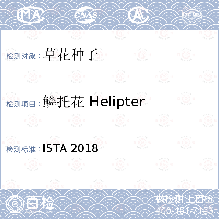 鳞托花 Helipterum manglesii 国际种子检验规程 ISTA 2018