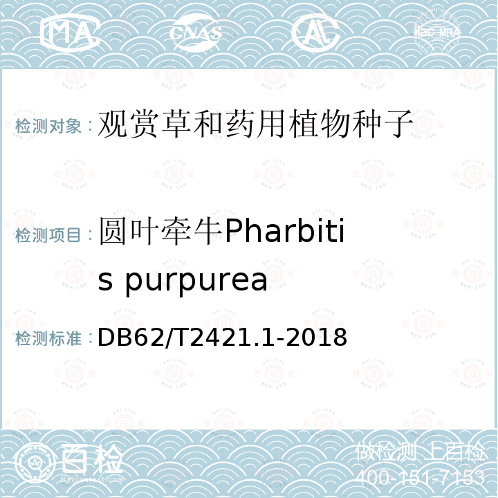 圆叶牵牛Pharbitis purpurea 主要草种子质量 第1部分 观赏草种子 DB62/T2421.1-2018