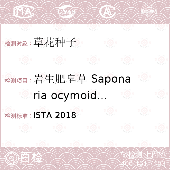 岩生肥皂草 Saponaria ocymoides 国际种子检验规程 ISTA 2018