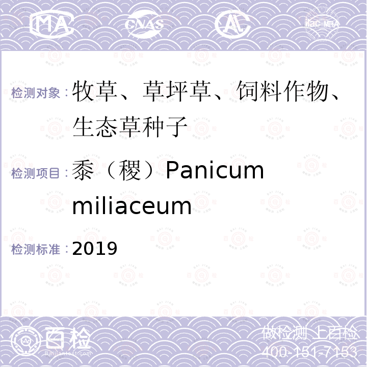 黍（稷）Panicum miliaceum 国际种子检验规程 2019 