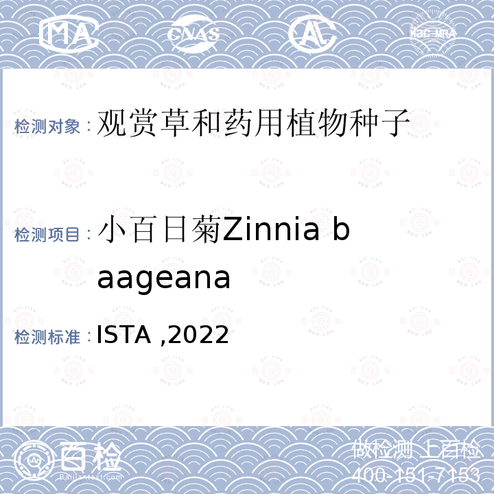 小百日菊Zinnia baageana 国际种子检验规程 ISTA ,2022