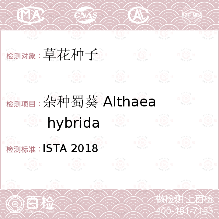 杂种蜀葵 Althaea hybrida 国际种子检验规程 ISTA 2018