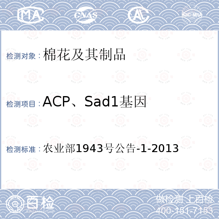 ACP、Sad1基因 转基因植物及其产品成分检测 棉花内标准基因定性PCR方法 农业部1943号公告-1-2013