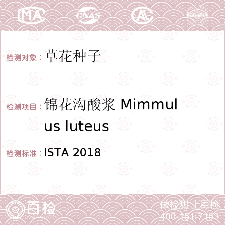 锦花沟酸浆 Mimmulus luteus ISTA 2018 国际种子检验规程 