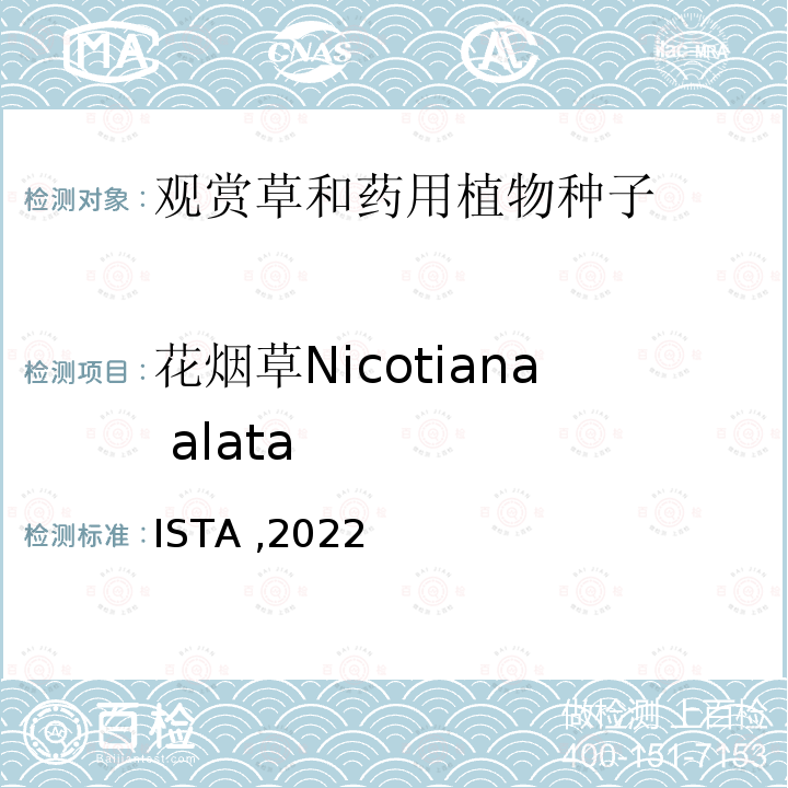 花烟草Nicotiana alata 国际种子检验规程 ISTA ,2022