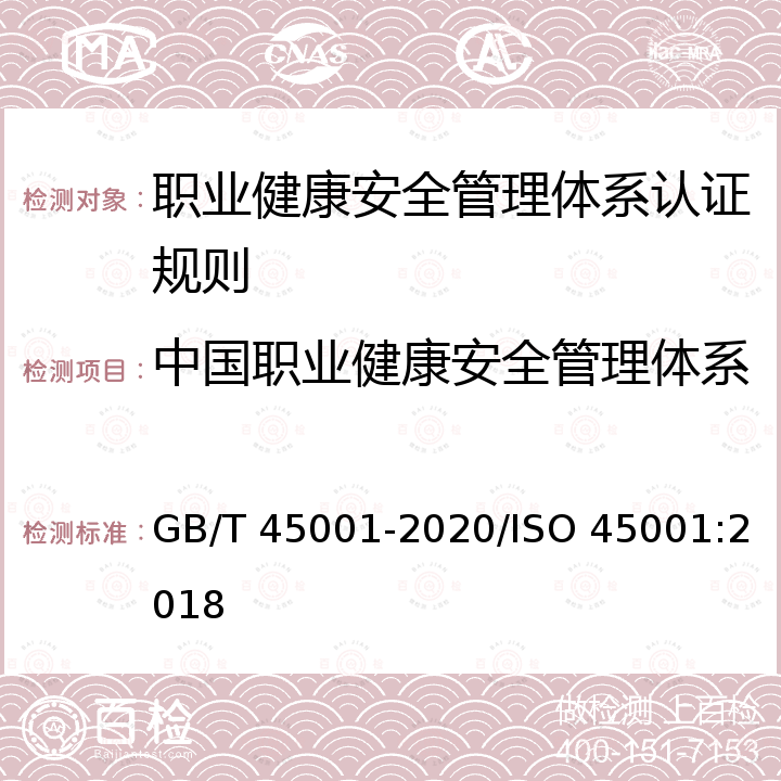 中国职业健康安全管理体系认证 ISO 45001 职业健康安全管理体系要求及使用指南 GB/T 45001-2020/ISO 45001:2018