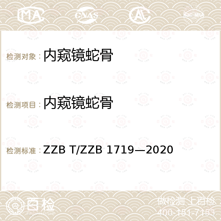 内窥镜蛇骨 B 1719-2020  ZZB T/ZZB 1719—2020