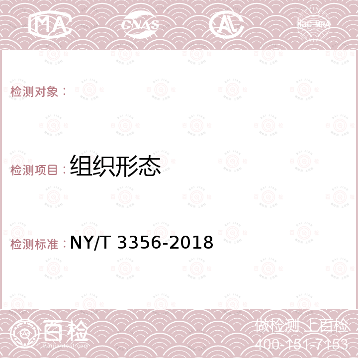 组织形态 NY/T 3356-2018 牦牛肉