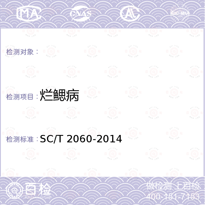 烂鳃病 SC/T 2060-2014 花鲈  亲鱼和苗种