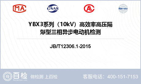 YBX3系列（10kV）高效率高压隔爆型三相异步电动机检测