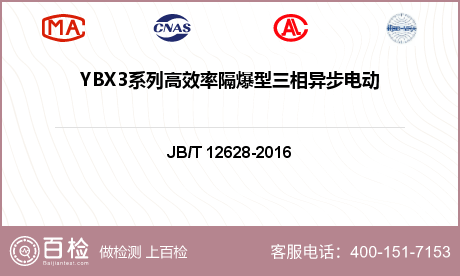 YBX3系列高效率隔爆型三相异步电动机（机座号63-355）检测