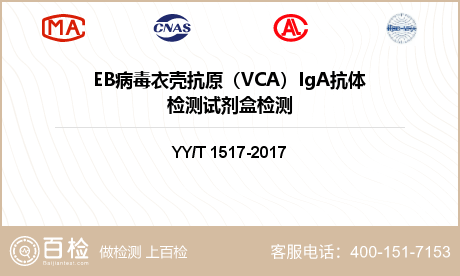 EB病毒衣壳抗原（VCA）IgA