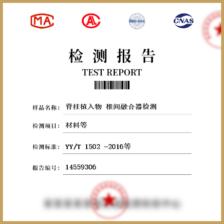 脊柱植入物 椎间融合器检测