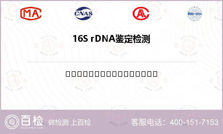 16S rDNA鉴定检测