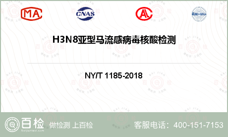 H3N8亚型马流感病毒核酸检测