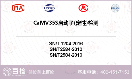 CaMV35S启动子(定性)检测