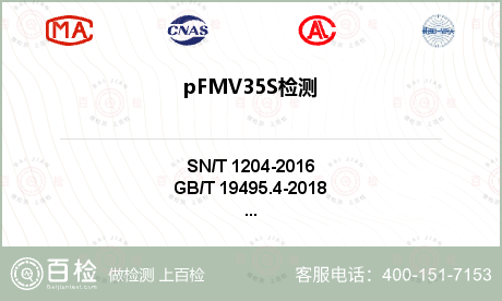 pFMV35S检测