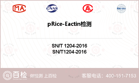 pRice-Eactin检测