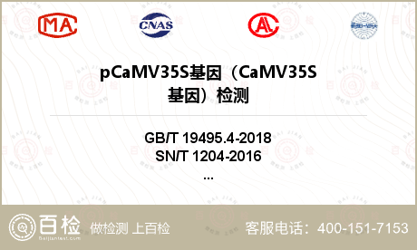 pCaMV35S基因（CaMV3