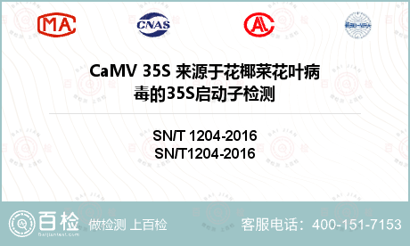 CaMV 35S 来源于花椰菜花