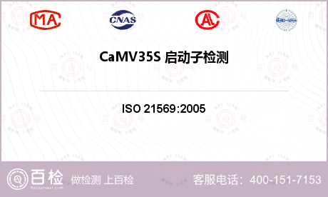 CaMV35S 启动子检测