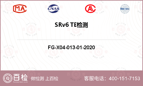 SRv6 TE检测
