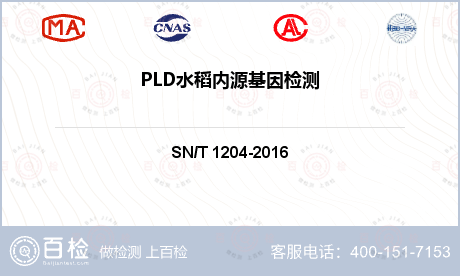 PLD水稻内源基因检测