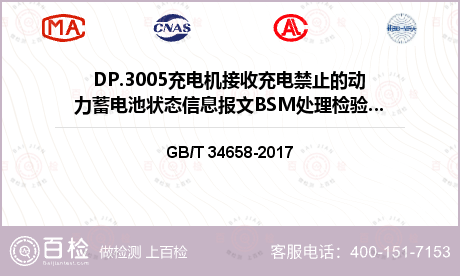 DP.3005充电机接收充电禁止的动力蓄电池状态信息报文BSM处理检验检测