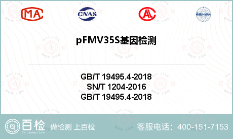 pFMV35S基因检测