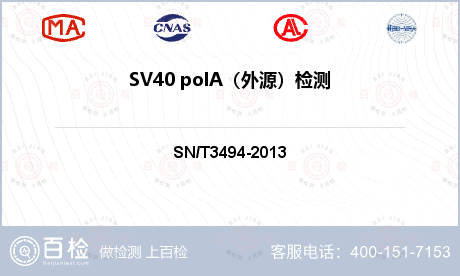 SV40 polA（外源）检测