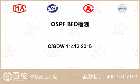 OSPF BFD检测