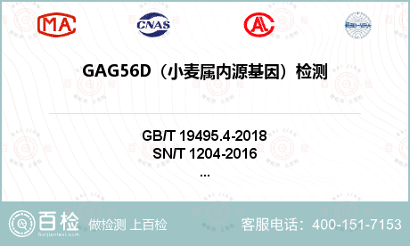 GAG56D（小麦属内源基因）检