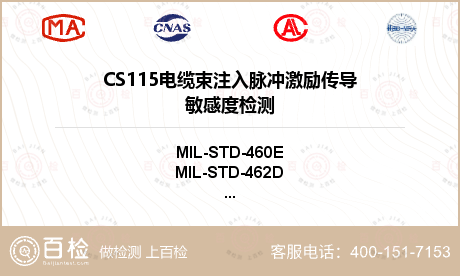 CS115
电缆束注入脉冲激励
