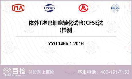 体外T淋巴细胞转
化试验(CFS