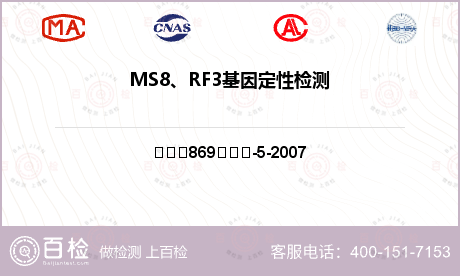 MS8、RF3基因定性检测