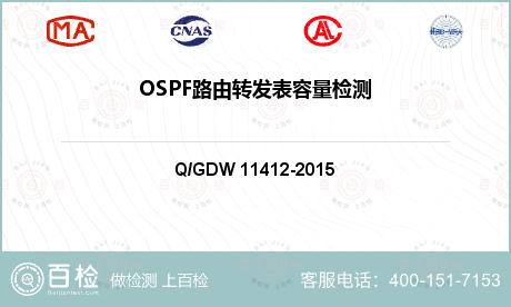 OSPF路由转发表容量检测