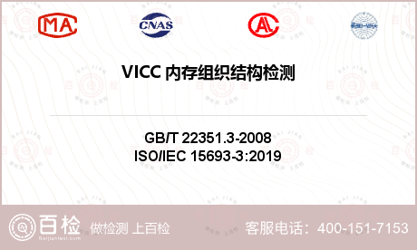VICC 内存组织结构检测