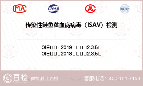 传染性鲑鱼贫血病病毒（ISAV）