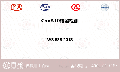 CoxA10核酸检测