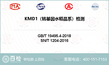 KMD1（转基因水稻品系）检测