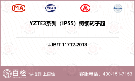 YZTE3系列（IP55）铸铜转子超高效率三相异步电动机检测