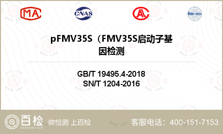 pFMV35S（FMV35S启动