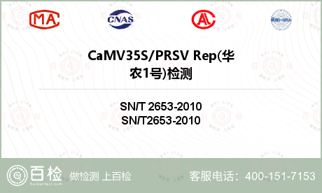 CaMV35S/PRSV Rep
