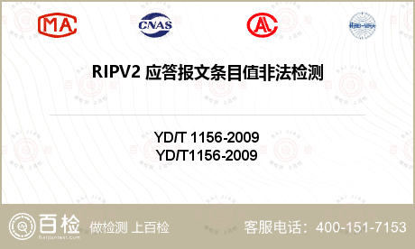 RIPV2 应答报文条目值非法检测