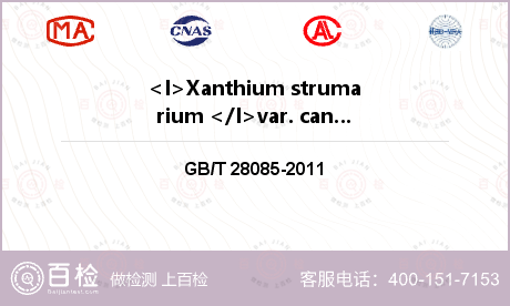 <I>Xanthium stru