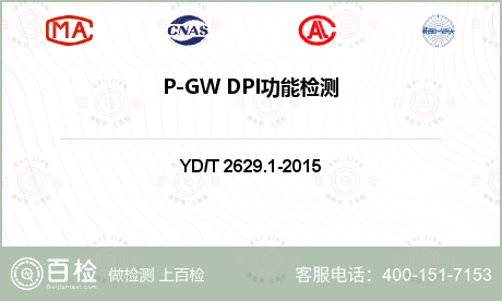 P-GW DPI功能检测