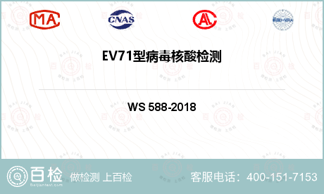 EV71型病毒核酸检测