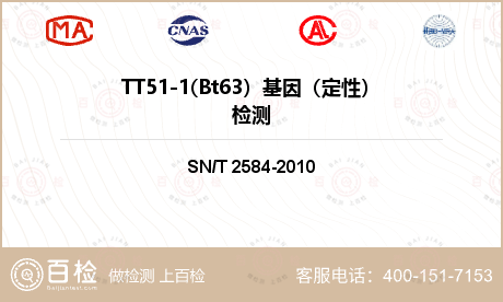 TT51-1(Bt63）基因（定
