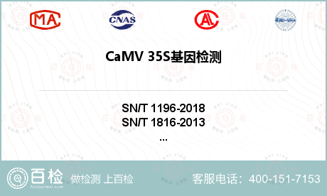 CaMV 35S基因检测