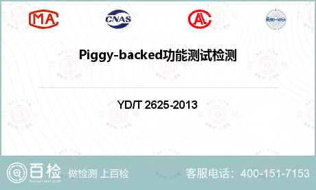 Piggy-backed功能测试检测